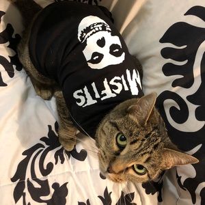 Meet your Posher, Jacob